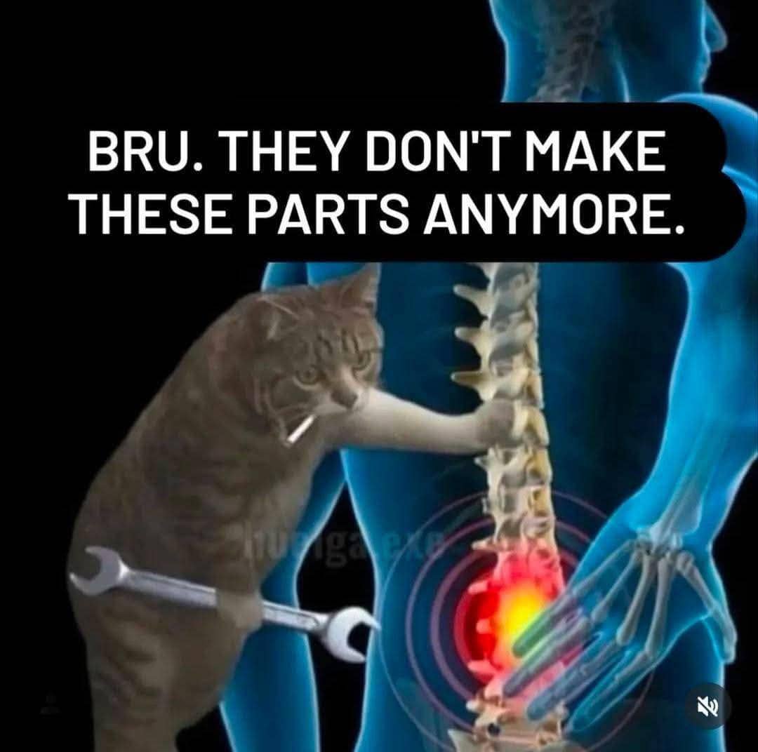 Cat mechanic holding a wrench next to a human spine diagram complaining about discontinued body parts.