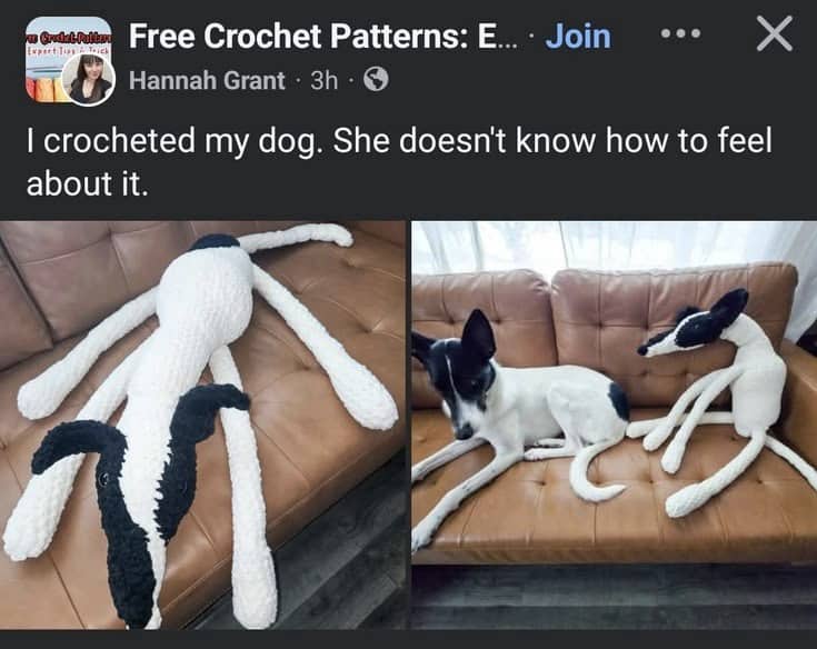 Side-by-side comparison of a black and white dog next to its long-limbed crochet lookalike.