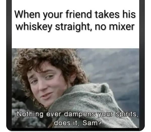 Lord of the Rings meme of Frodo Baggins making a pun about drinking spirits.