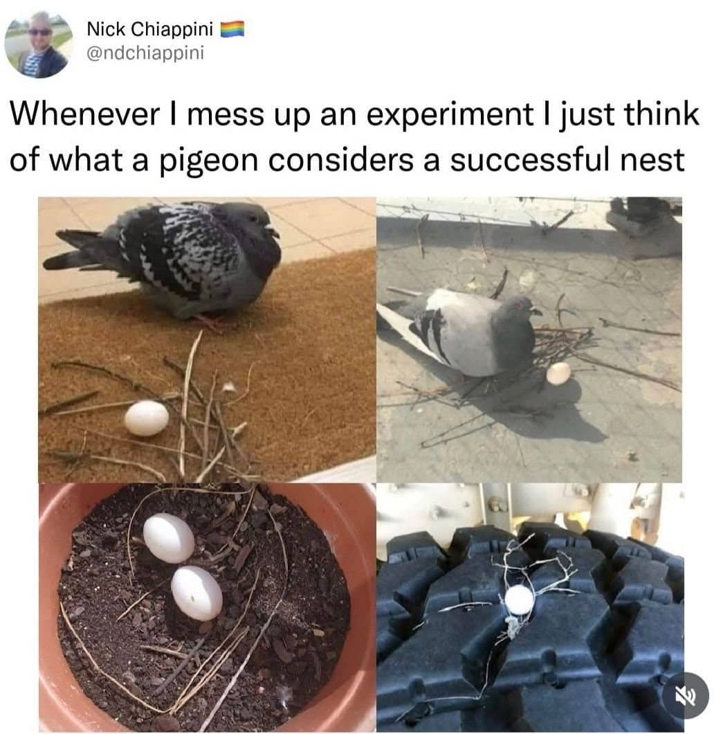 Science meme comparing failed laboratory experiments to incredibly minimal and messy pigeon nests with eggs.