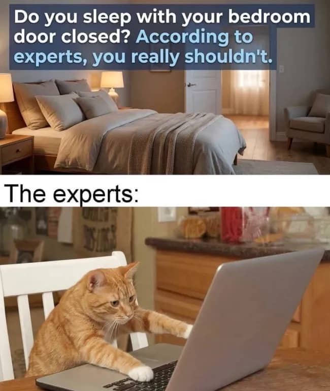 Humorous two-panel meme showing a bedroom door open and an orange cat typing on a laptop.