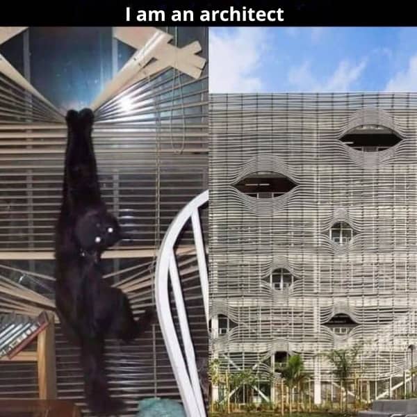 Side-by-side meme comparing a black cat pulling down window blinds to a unique modern building design.
