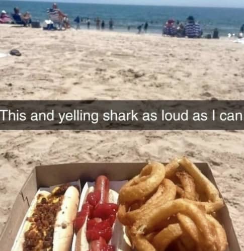 Beach meme featuring hot dogs and onion rings with a caption about causing chaos at the shore.