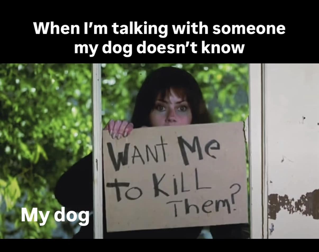 An Aubrey Plaza "Want me to kill them?" sign meme repurposed as a funny meme about a dog's protective attitude toward its owner meeting a stranger.