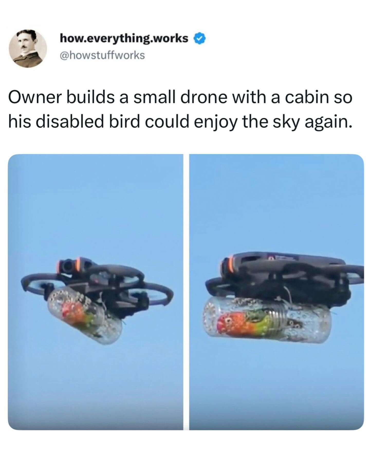 A tech-driven update features a custom remote quadcopter drone flying with a clear plastic bottle cockpit rigged up to give a disabled pet parrot a tour of the sky.