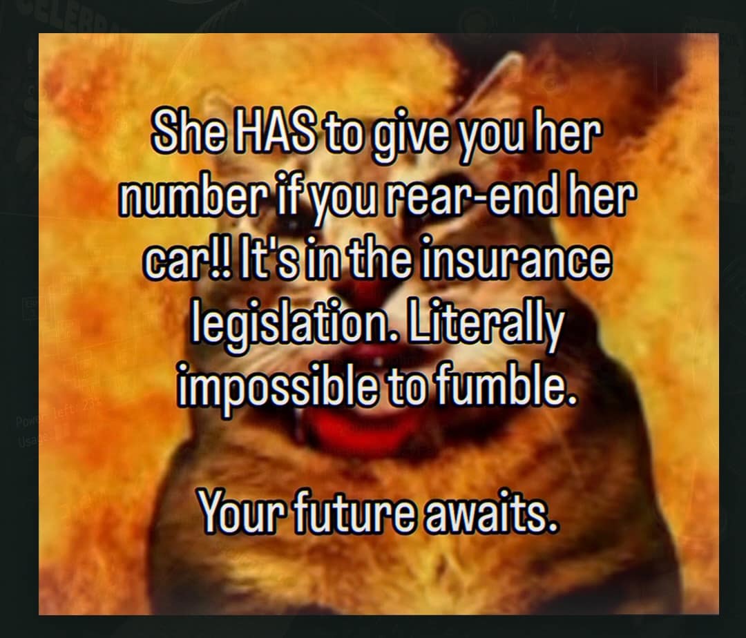 A blazing fire background frames an unhinged life hack layout about causing a minor traffic accident to legally force an insurance info exchange, featured in a chaotic meme dump post.
