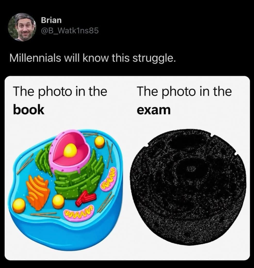 A classic side-by-side student comparison contrasts a vibrant, highly detailed 3D biological cell model against a pitch-black, illegible black-and-white photocopy variant typically distributed on an exam sheet, featured in a meme dump.