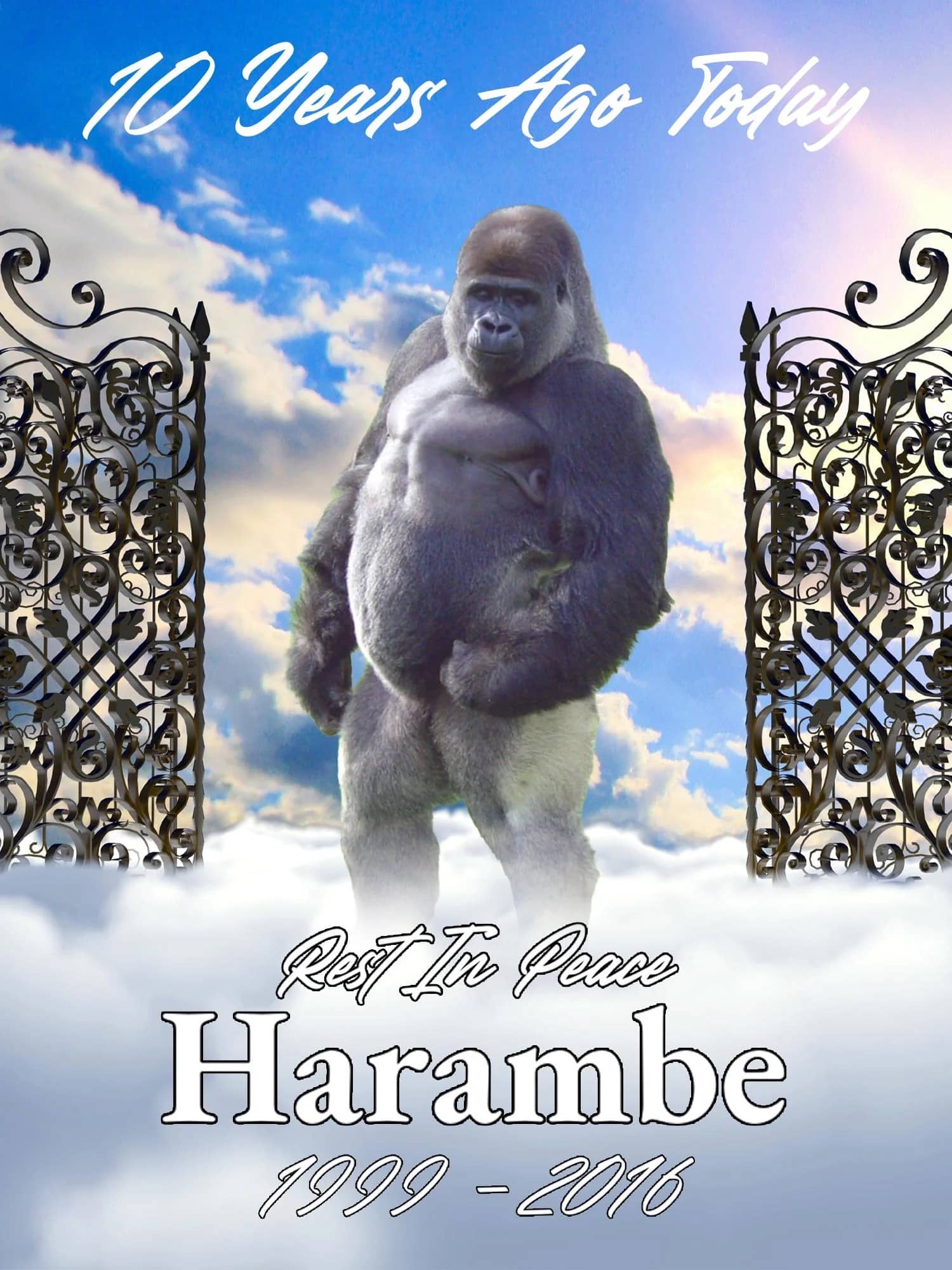 Internet meme commemorating the ten year anniversary of the passing of Harambe the gorilla.
