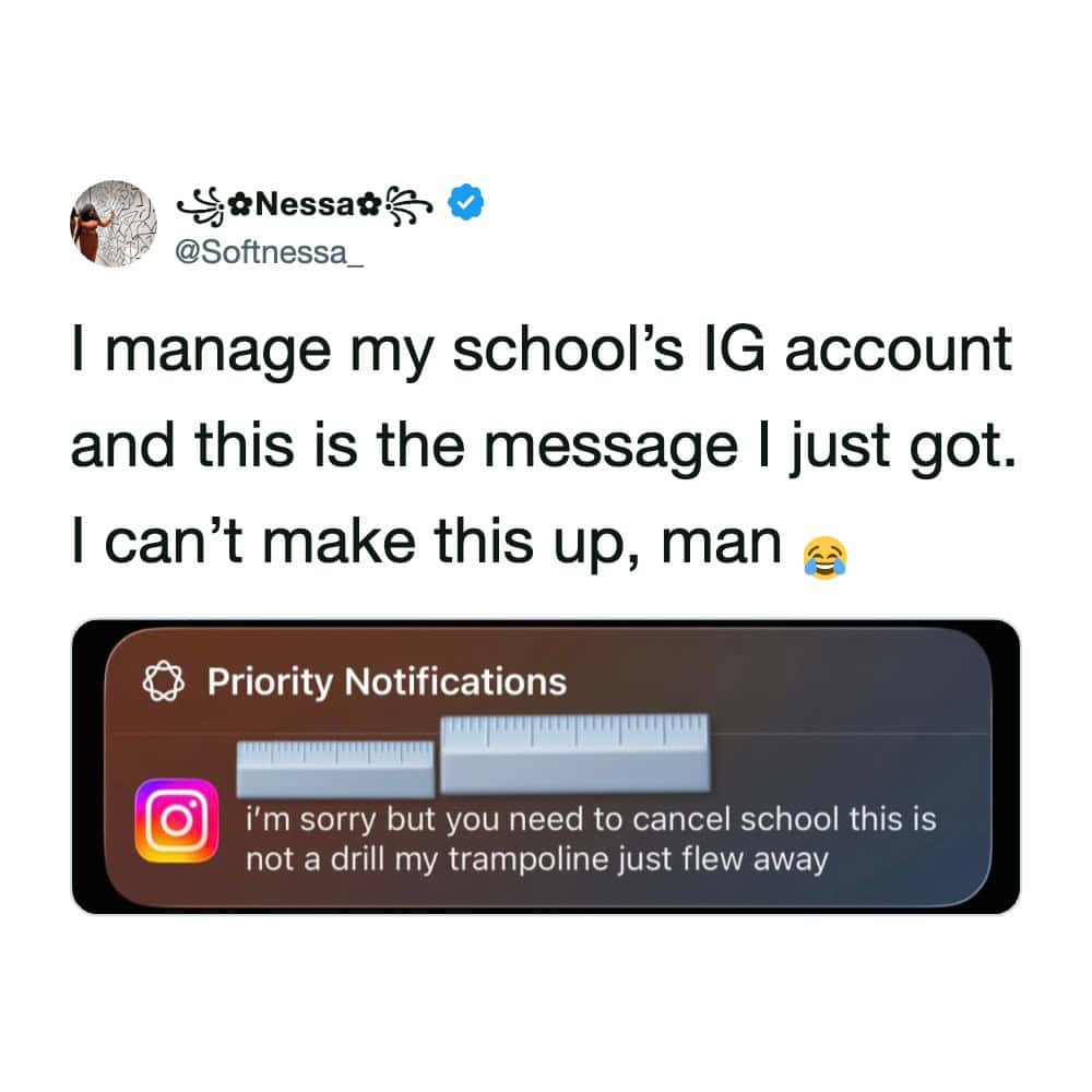 Funny social media post about a student asking to cancel school because their trampoline flew away.