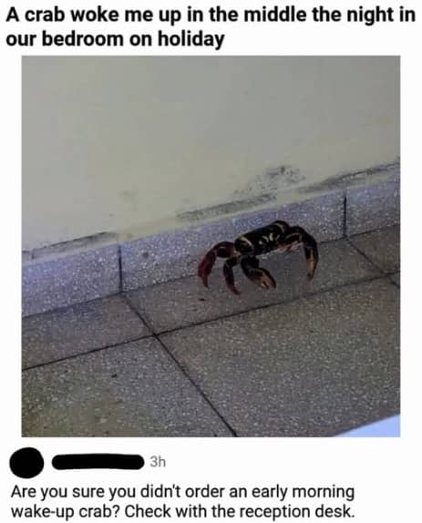 Holiday meme showing an unexpected crab on a bedroom floor with a funny wake-up call comment.