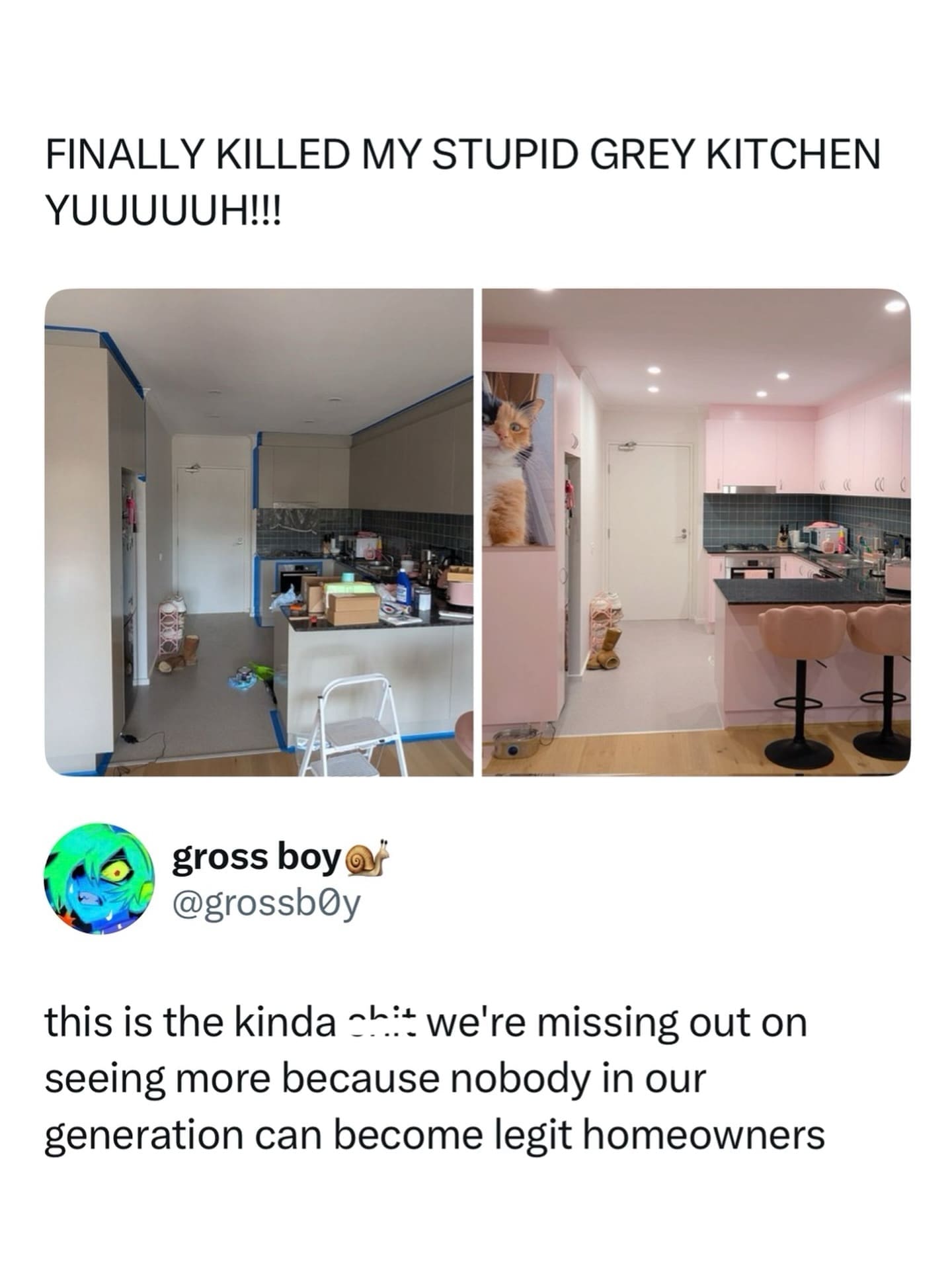 Social media post comparing a grey kitchen renovation to millennial struggles with home ownership.