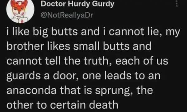 Humorous text post parodying the "Sir Mix-a-Lot" song lyrics as a logic riddle about two doors.