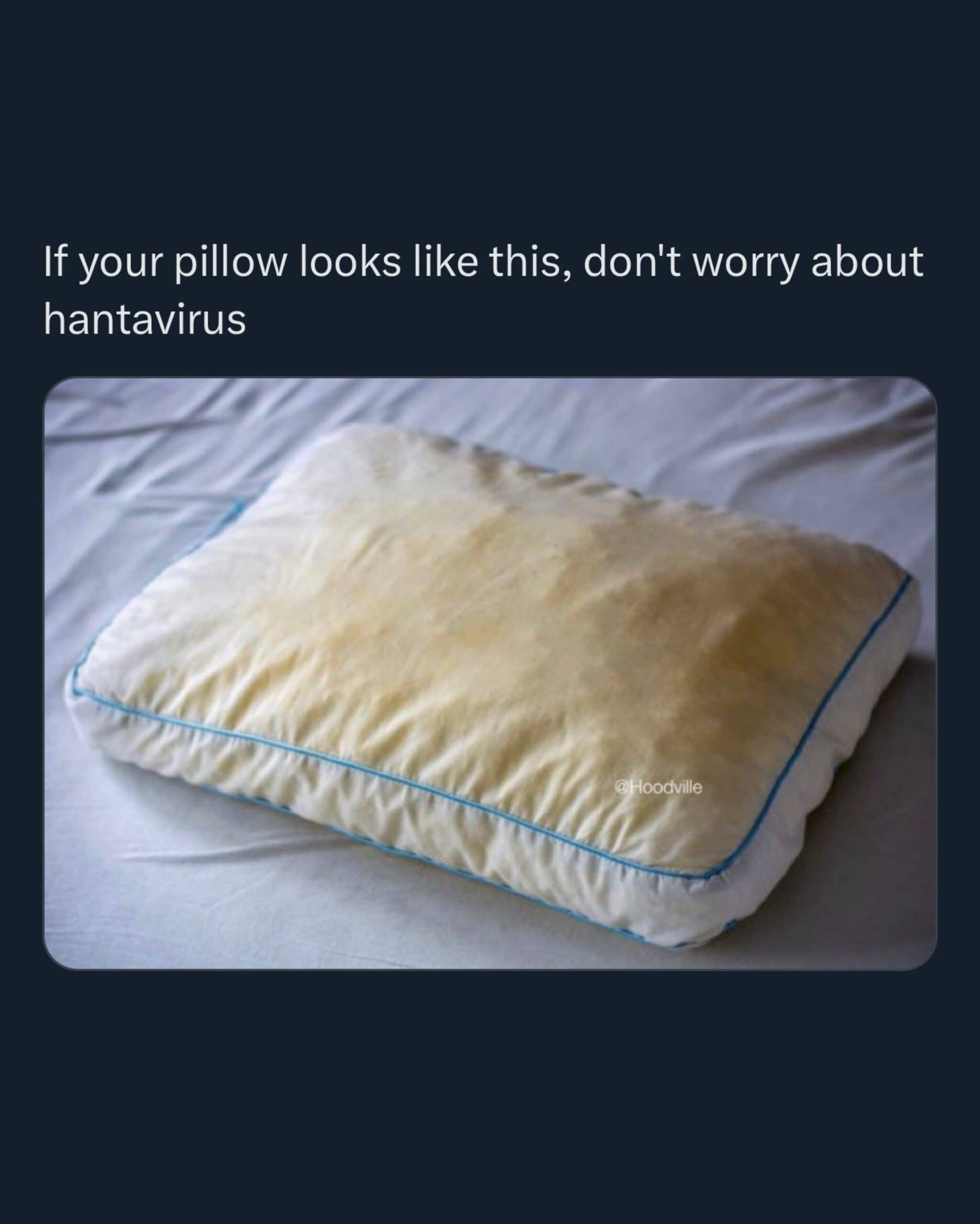 Gross yellow-stained pillow used as a meme about hantavirus and general bachelor hygiene habits.