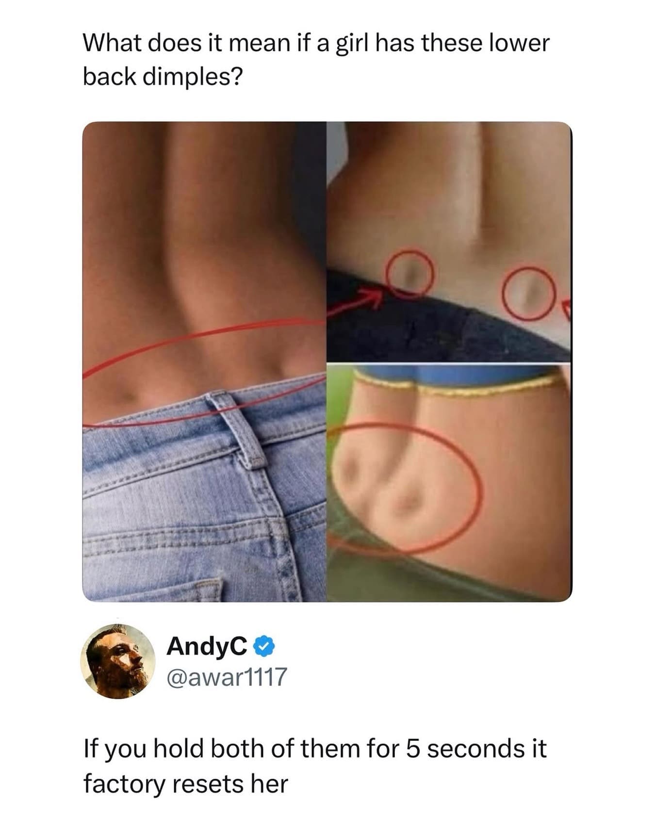 Viral internet meme joking that lower back dimples act as a physical factory reset.