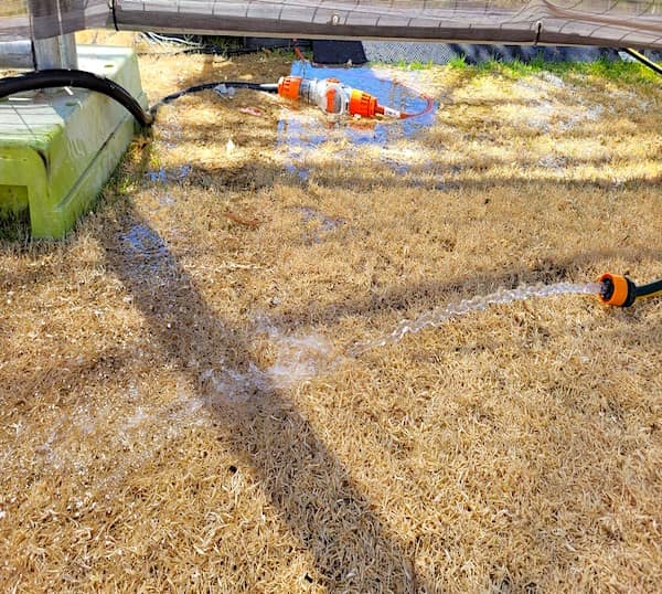 classic safety third electrical hazard showing high-voltage extension cord connections lying directly in a puddle of water while a garden hose continues to spray nearby.