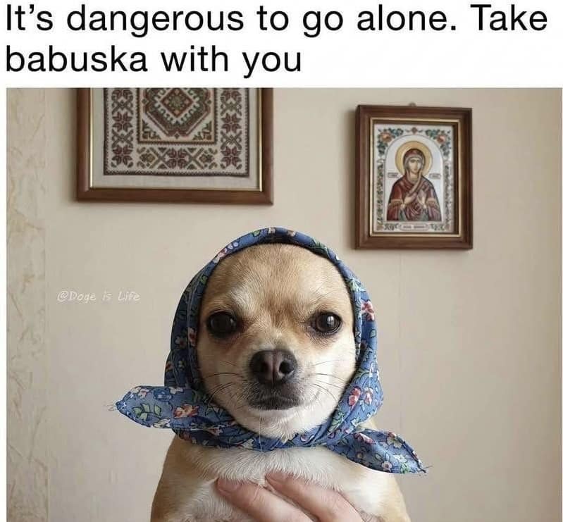 A heartwarming pet-themed classic meme showing a close-up of a small chihuahua dog wearing a blue floral headscarf tied under its chin beneath the text, "It's dangerous to go alone. Take babuska with you."