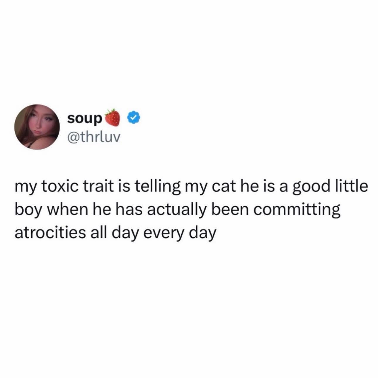 A text-post screenshot operating as a funny classic meme by user soup, confessing that her personal toxic trait is enabling her pet house cat by telling him he is a good little boy even when he actively commits household atrocities all day long.