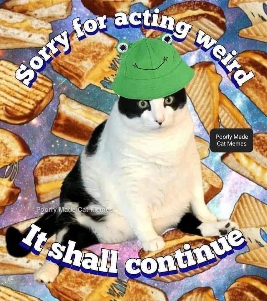 A classic meme image featuring a heavy tuxedo cat wearing a green frog bucket hat sitting amidst a cosmic outer-space backdrop patterned with floating grilled cheese paninis, captioned "Sorry for acting weird. It shall continue."