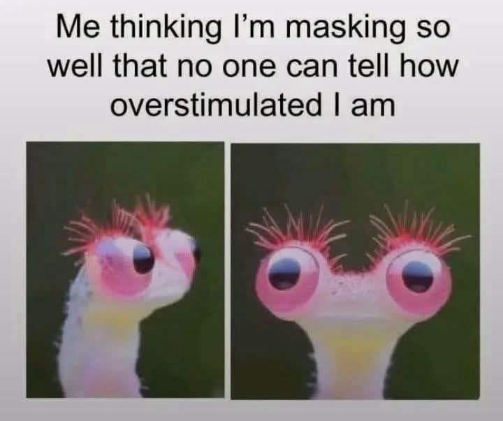 A side-by-side character reaction template used as a classic meme displaying a wide-eyed pink cartoon creature under a relatable neurological overstimulation headline.