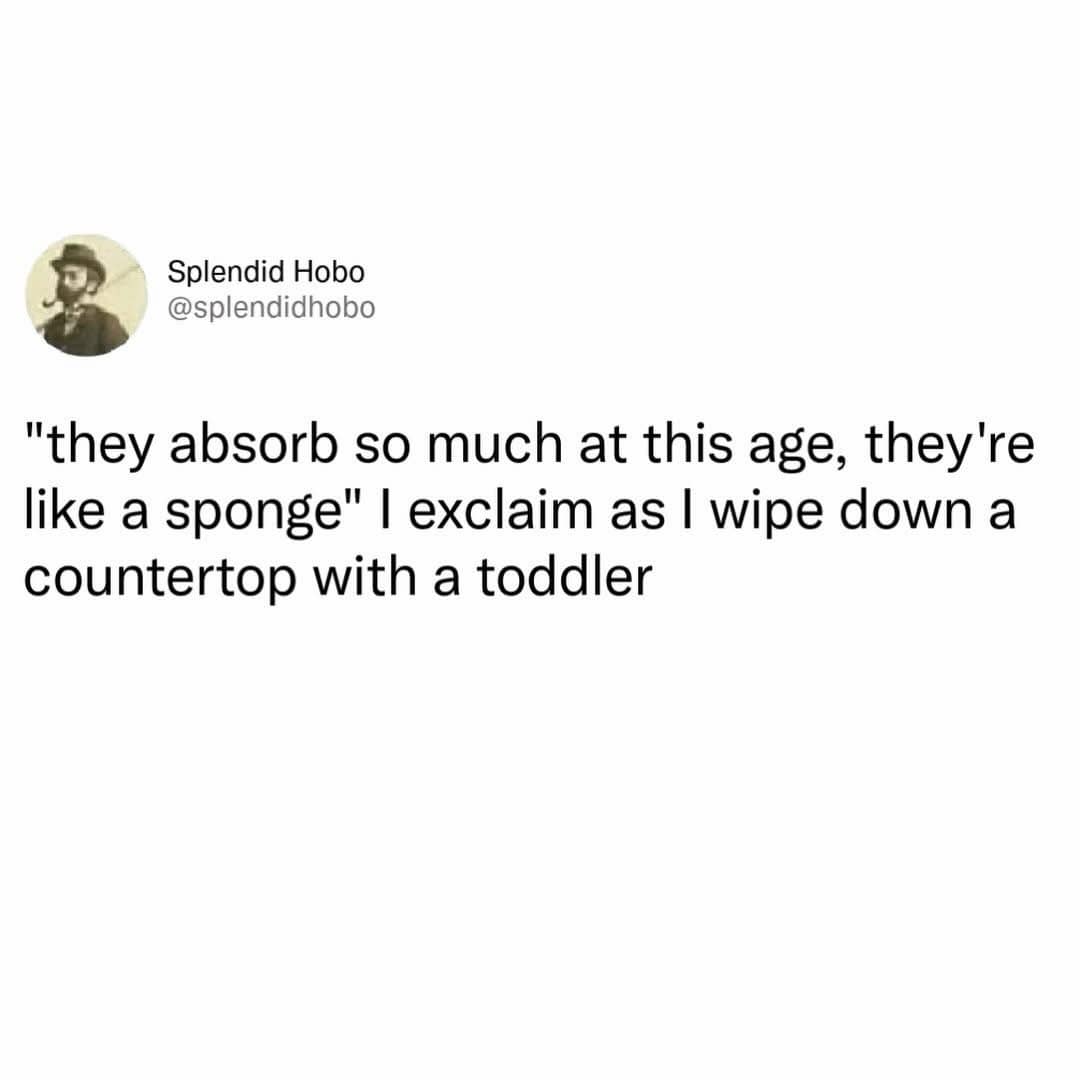 classic meme text joke featuring a tweet from user Splendid Hobo that reads: "'they absorb so much at this age, they're like a sponge' I exclaim as I wipe down a countertop with a toddler".