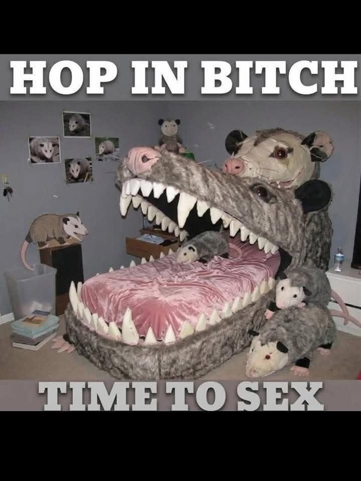 A bizarre and legendary classic meme featuring an absurdly customized bedroom centered around a massive plush opossum bed with giant open jaws and pink sheets, under the aggressive joke text: "HOP IN B*TCH TIME TO S*X".