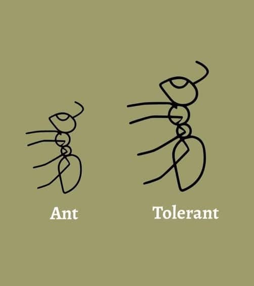 A minimalist line drawing comparing a small ant to a larger insect labeled as tolerant.