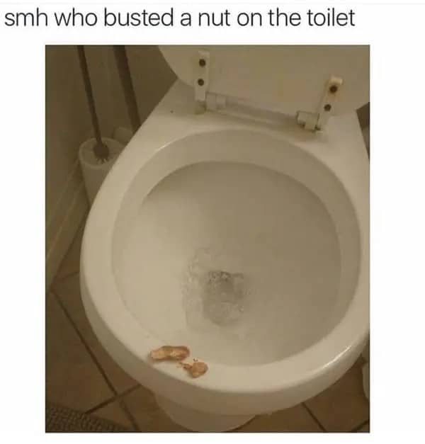 A literal cracked peanut shell sitting on the rim of a white porcelain toilet bowl