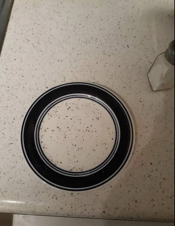 A ceramic dinner plate with a patterned rim that sits completely flush with a speckled countertop.