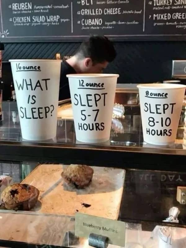 Three white coffee cups at a bakery counter labeled with sleep hour ranges and existential questions.