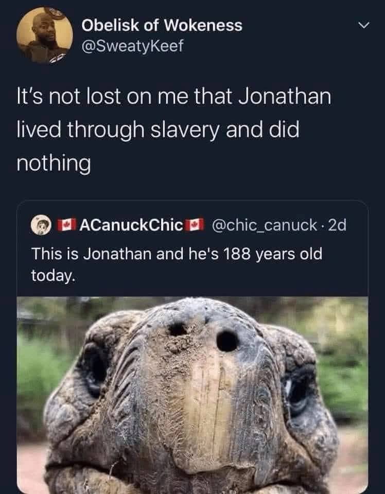 Dark humor social media post joking about a 188 year old tortoise living through slavery.