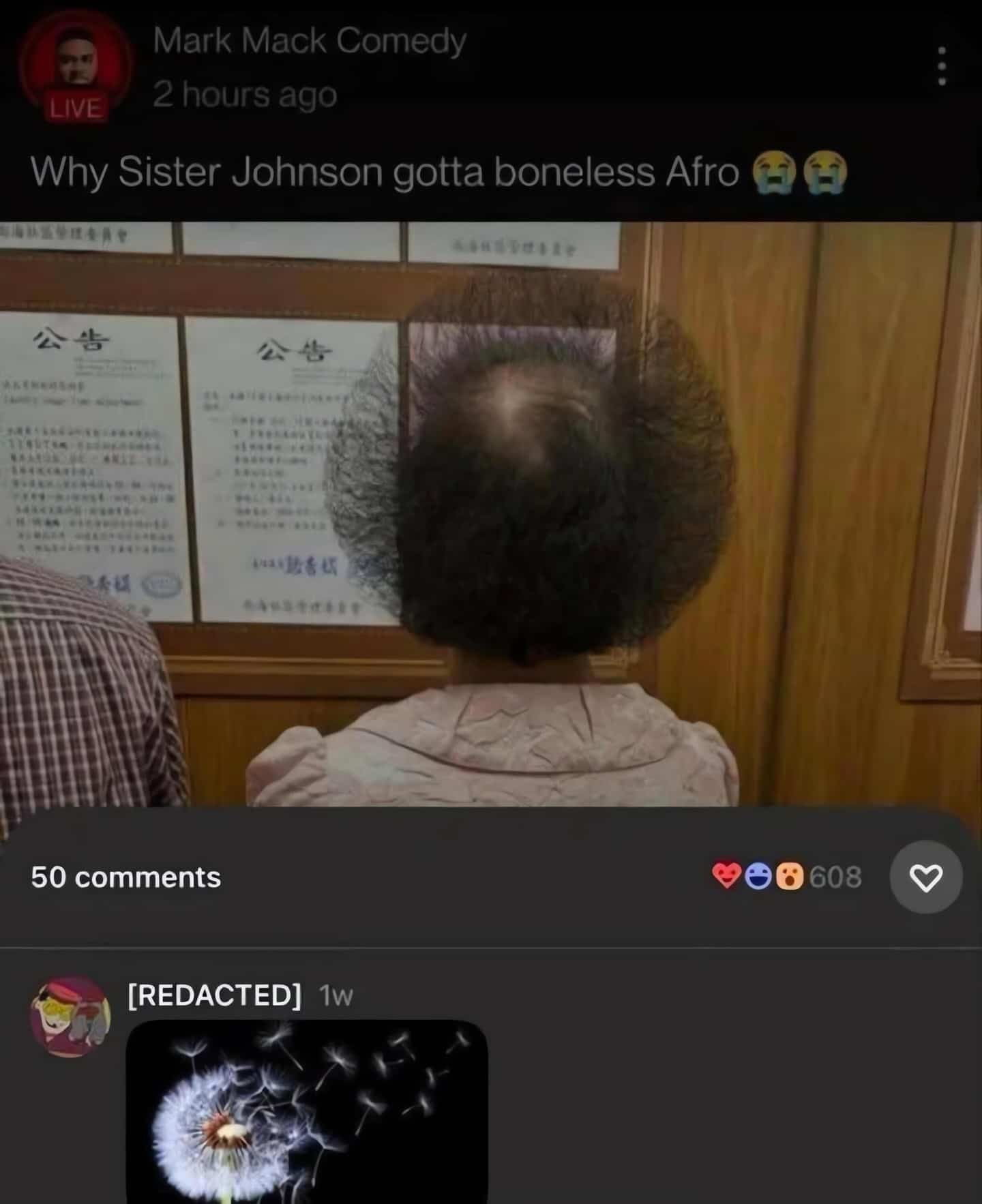Back of an older woman's frizzy hairstyle compared humorously to a blown dandelion.