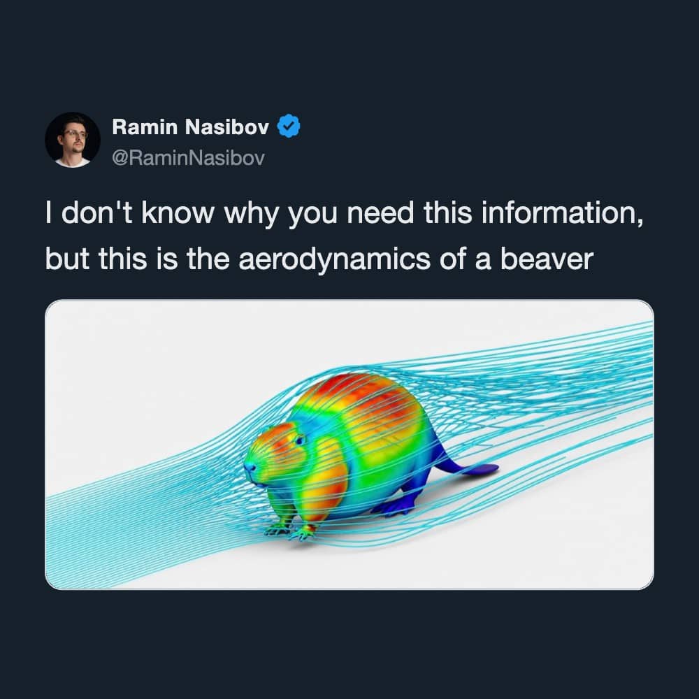 Tweet showing a colorful scientific 3D airflow simulation detailing the aerodynamics of a beaver.