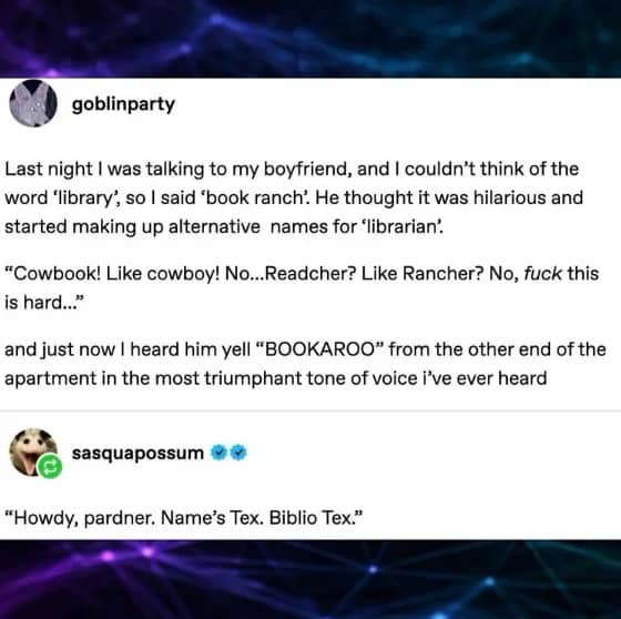 Screenshot of a funny text post exchanging alternative cowboy-themed names for libraries and librarians.