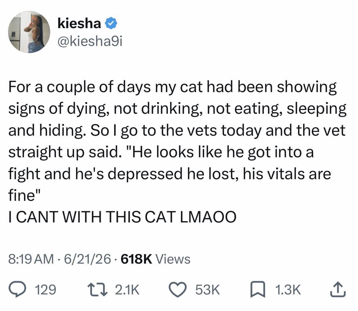 Humorous text tweet explaining a cat acting sick simply because he lost a neighborhood fight.