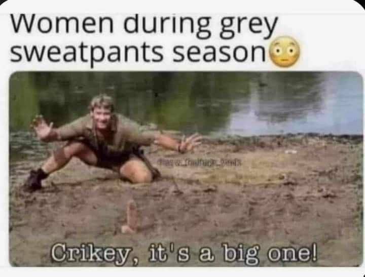 Steve Irwin crocodile meme with text joke about women during grey sweatpants season.