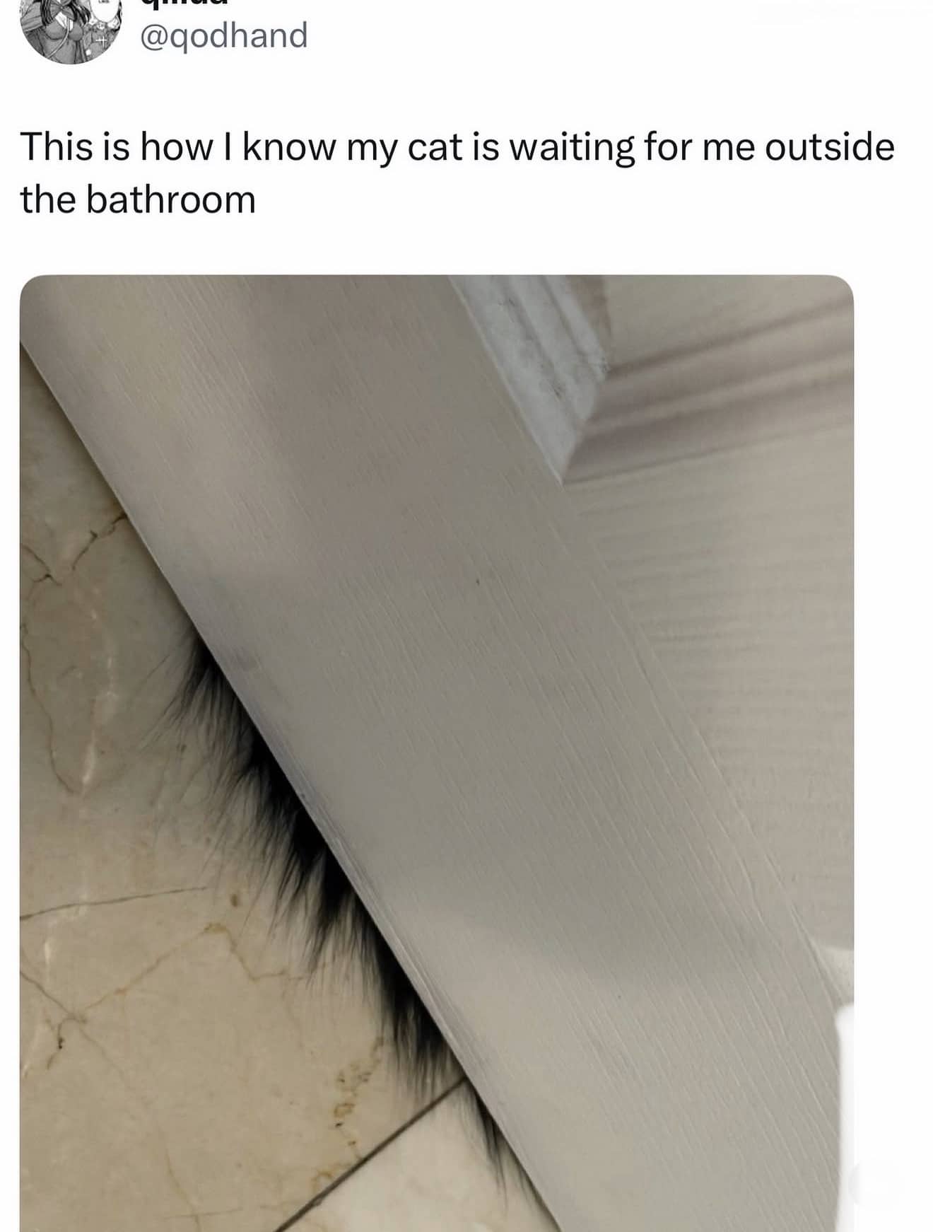 Close up view of cat fur peeking out from underneath a white bathroom door.