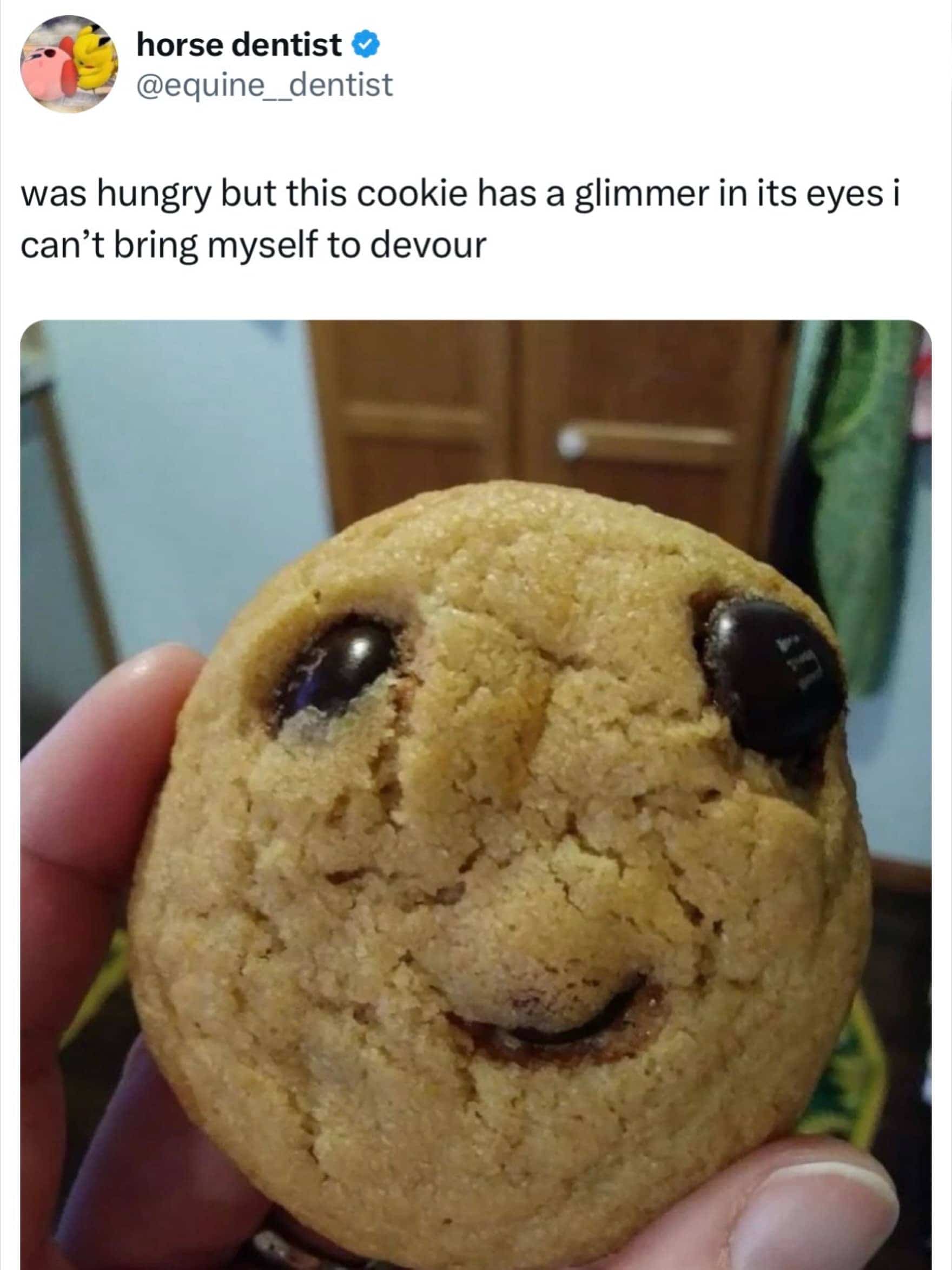 Close up photograph of a baked chocolate chip cookie naturally forming a happy smiley face.