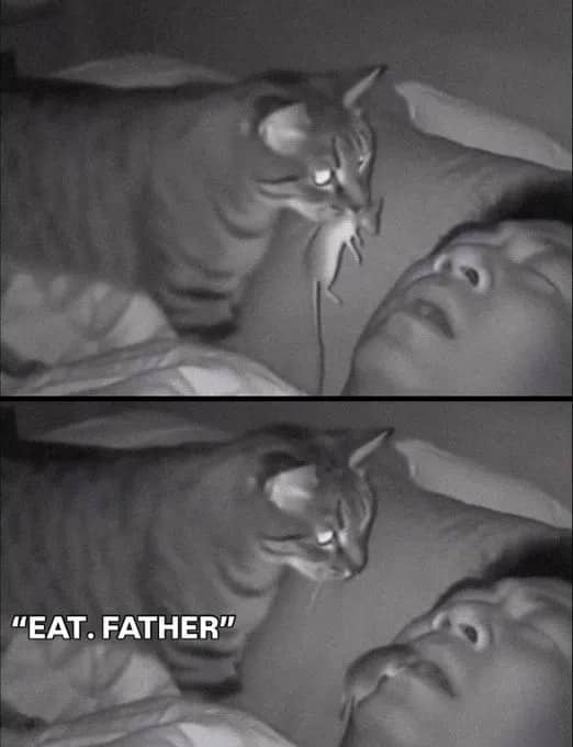 Dark humor night vision meme of a cat bringing a live mouse to its sleeping owner.