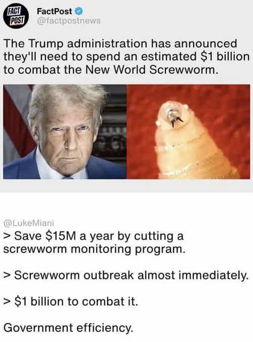 Social media post criticizing government efficiency regarding the New World Screwworm outbreak response