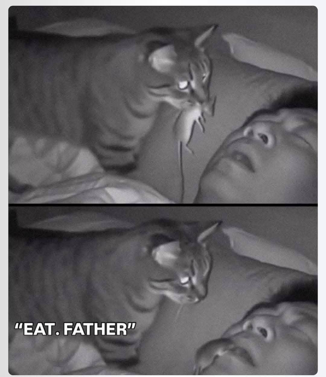 Security camera footage of a cat dropping a mouse onto a sleeping man's face.