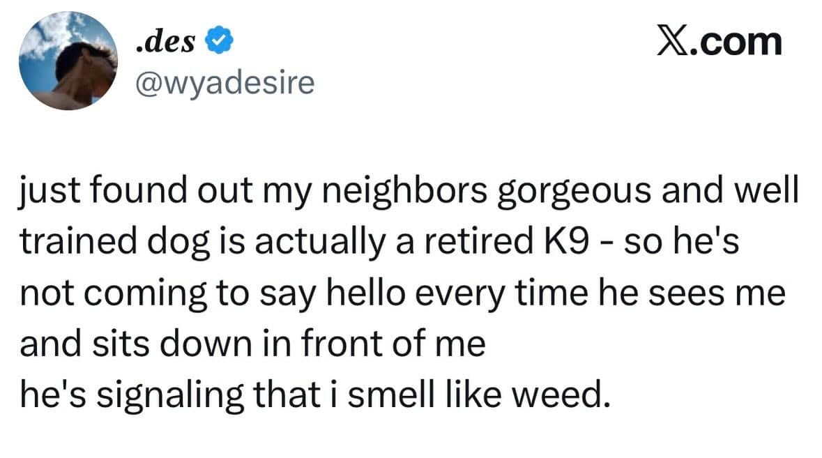 Tweet about discovering a neighbors well trained dog is a retired K9 narcotics animal.