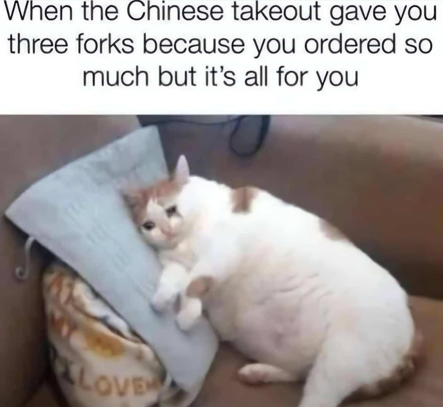 Relatable eating meme showing a chubby white and brown cat looking sad on a cushion.