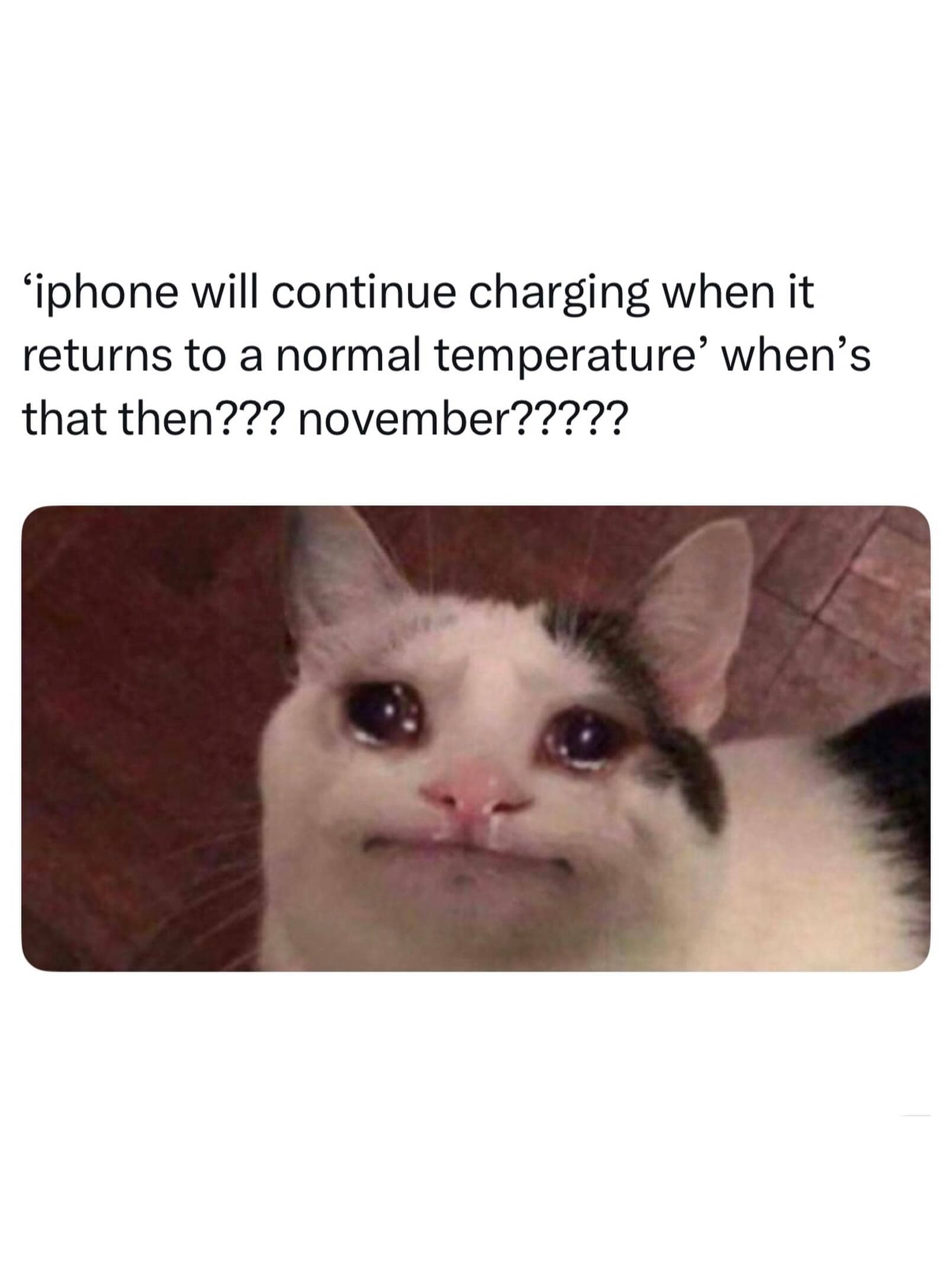 Crying cat meme with text complaining about an iPhone overheating notification during summer.