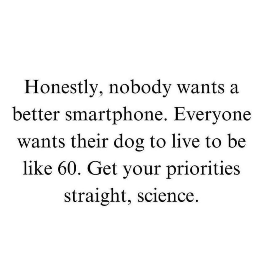 Text image joking that science should prioritize making dogs live longer over making smartphones.