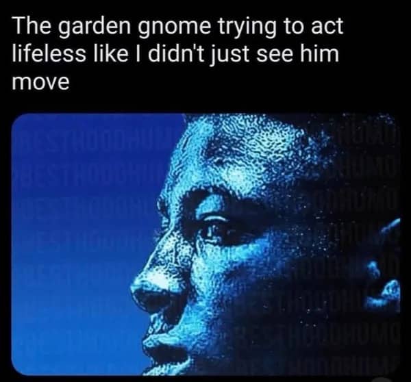 Blue textured close up profile of a man staring intensely with a garden gnome caption.