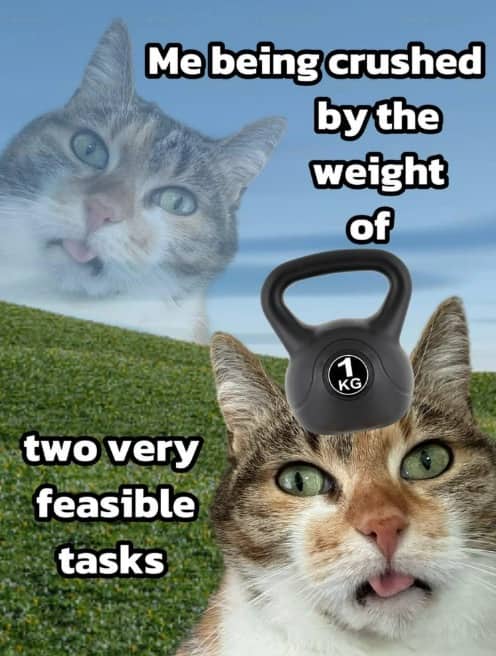 Relatable cat meme about being crushed by the weight of two very feasible tasks.