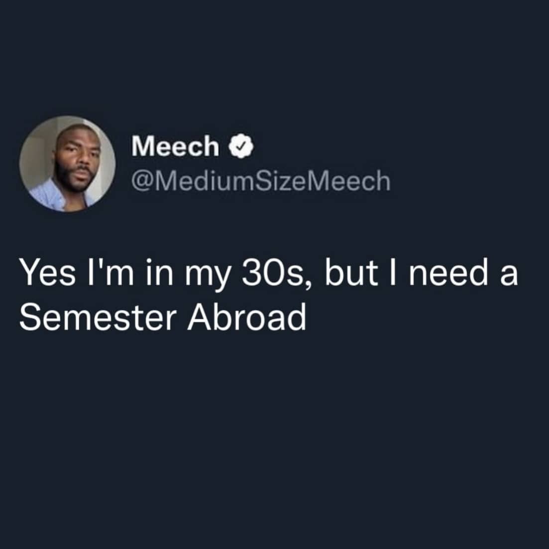 Relatable text post from a person in their 30s needing a semester abroad.