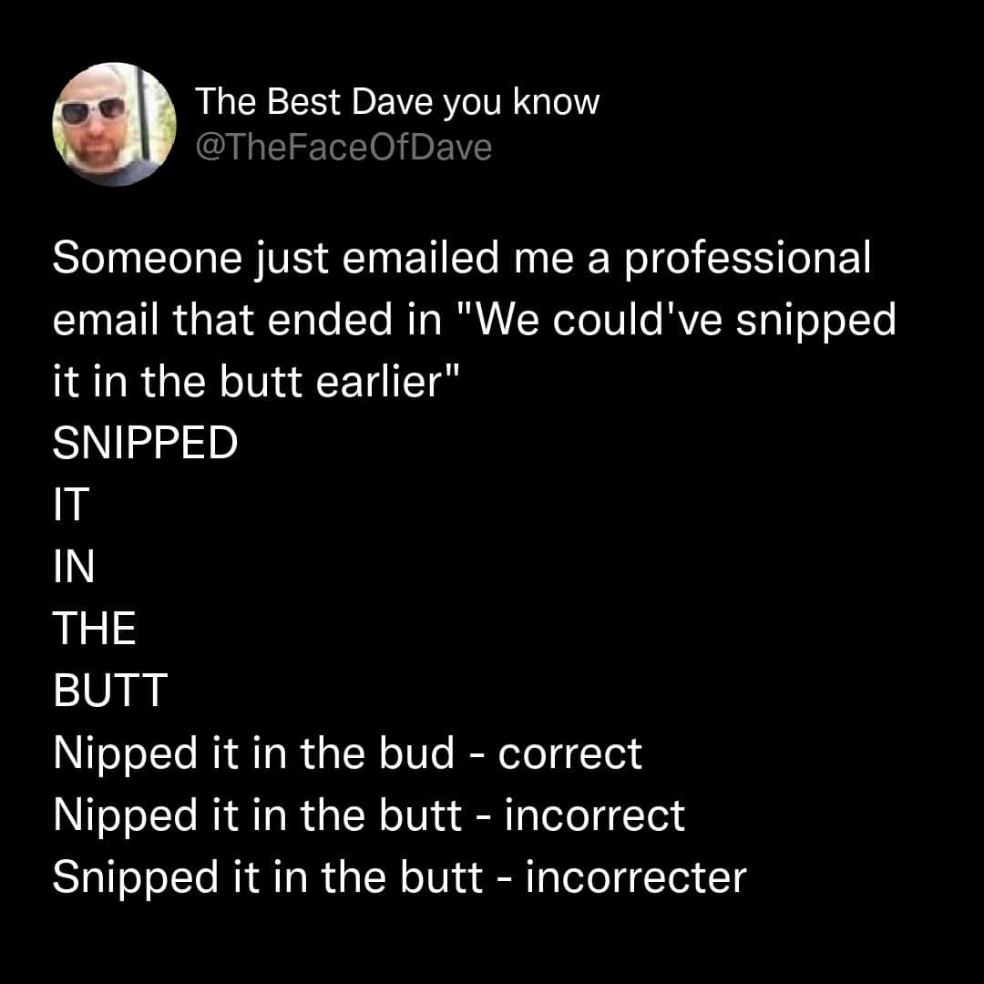 A workplace communication breakdown showcased as a funny grammar meme highlights a text post by user @TheFaceOfDave, detailing a professional corporate email that catastrophically mangled an idiom by signing off with, "We could've snipped it in the butt earlier."