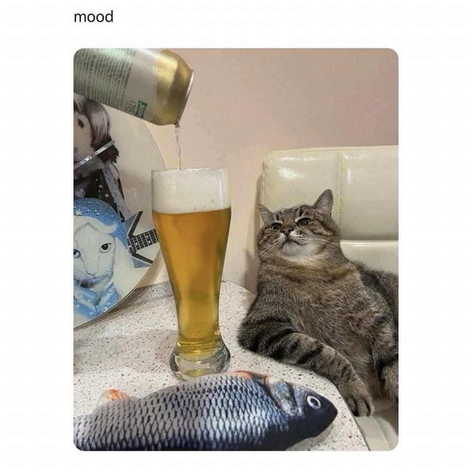 Chonky tabby cat leaning back in an office chair next to a tall glass of beer.