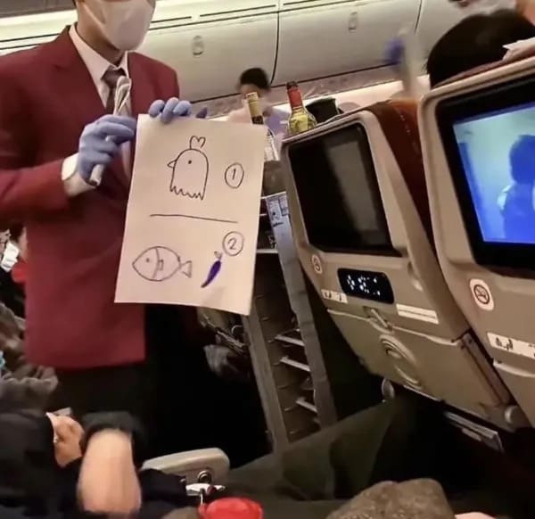 Flight attendant holding a hand-drawn sign showing meal choices of chicken or fish on an airplane.